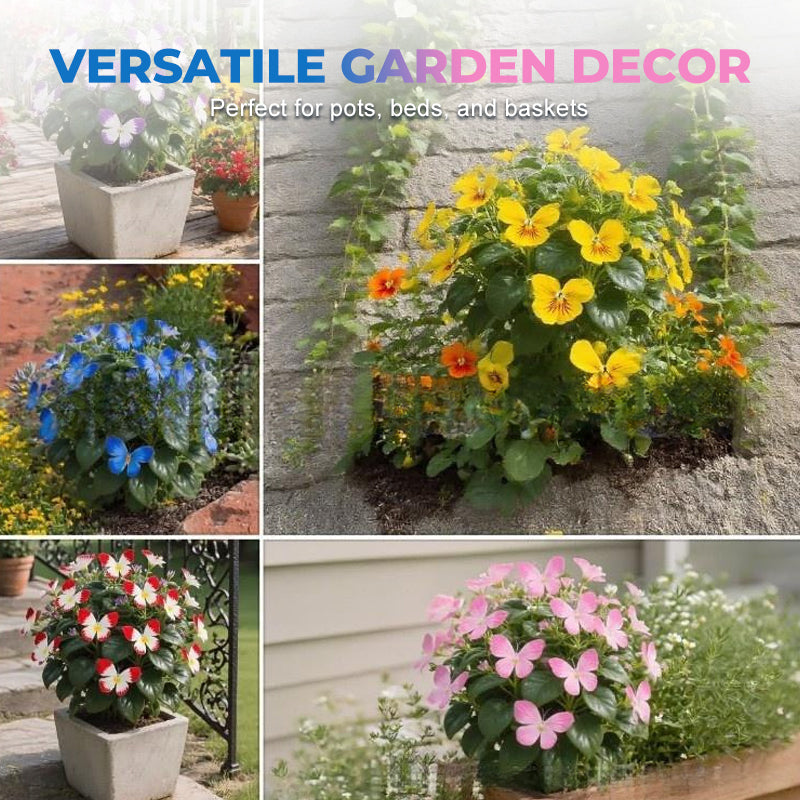 🦋 Förtrollande blomfrön i fjärilsform ✨