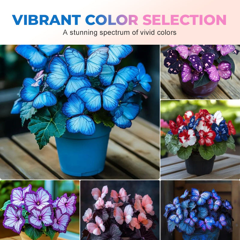 🦋 Förtrollande blomfrön i fjärilsform ✨