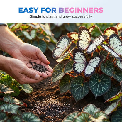 🦋 Förtrollande blomfrön i fjärilsform ✨