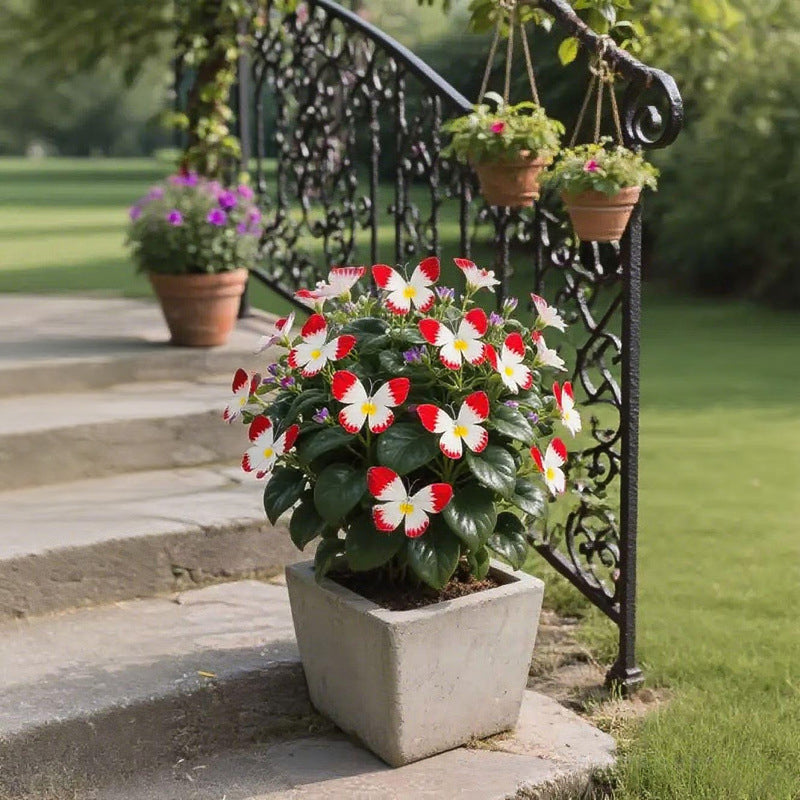 🦋 Förtrollande blomfrön i fjärilsform ✨