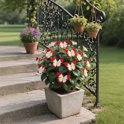 🦋 Förtrollande blomfrön i fjärilsform ✨